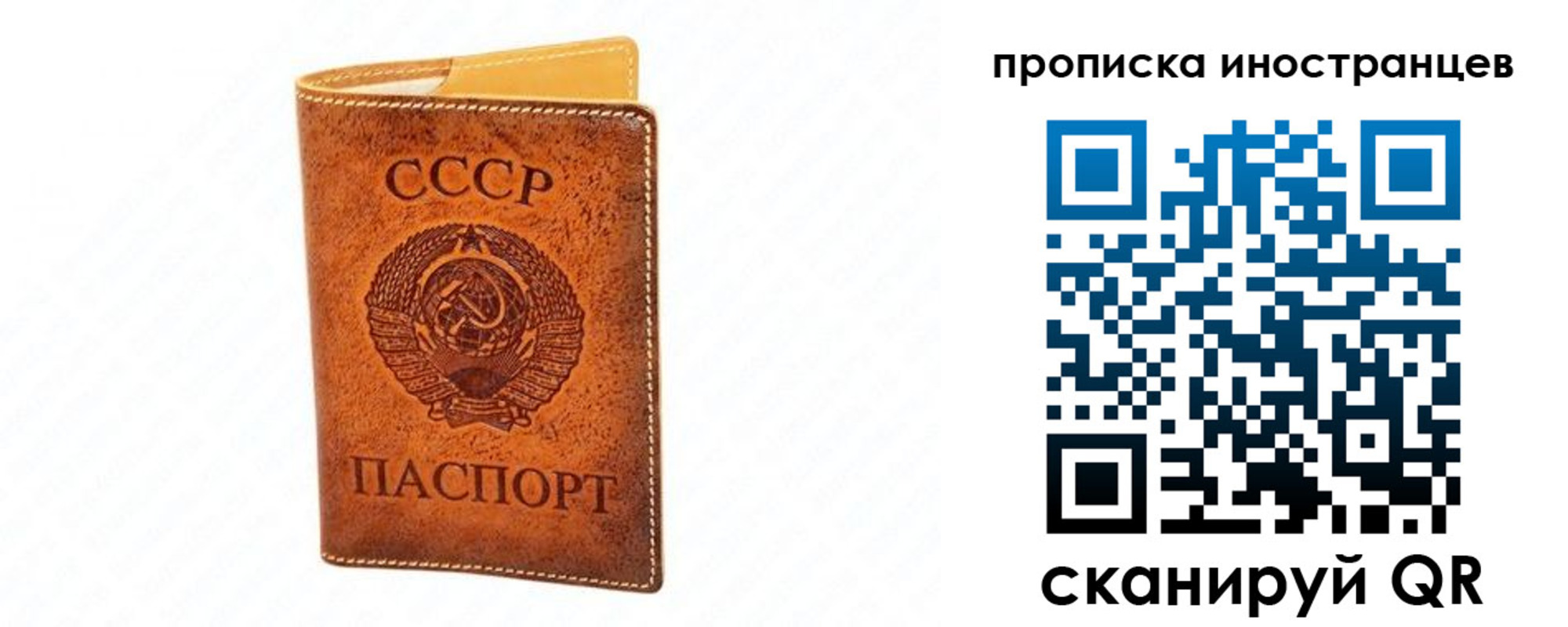 прописка для школы в Петров Вале